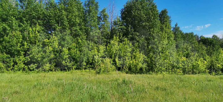 Участок 8 га (ИЖС)