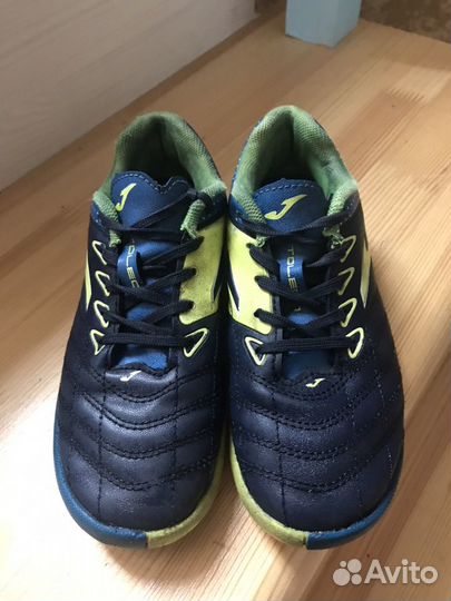 Сороконожки