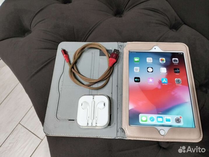 iPad mini 3