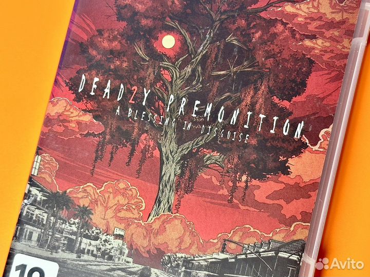 Deadly Premonition 2 A Blessing in Disguise (NSW)