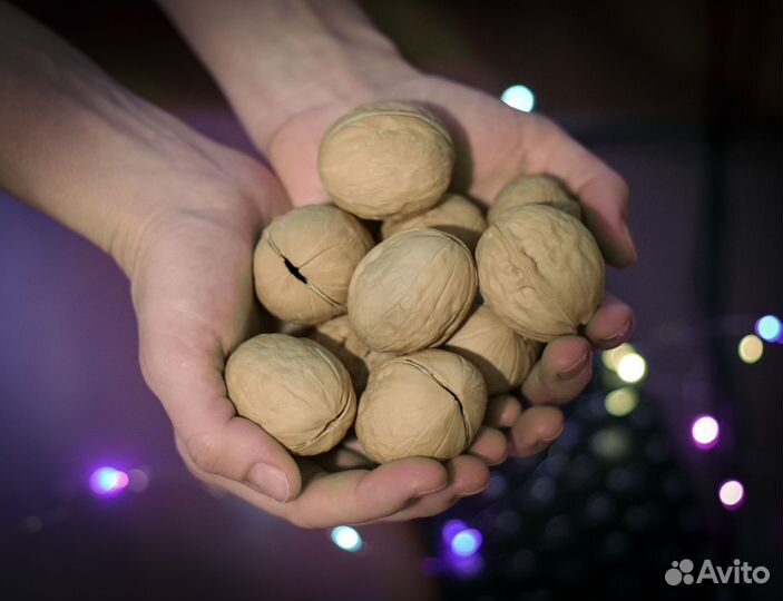 Волшебные орешки, орешки с предсказаниями