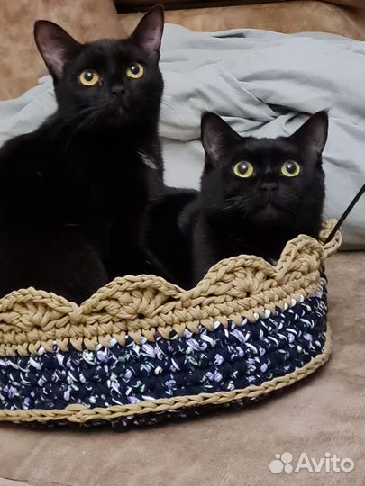 Лежанка для кошек новая
