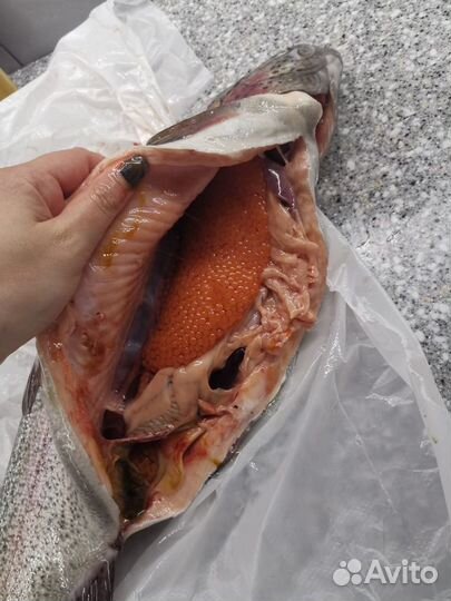 Форель, икра, балык, форель горячего копчения