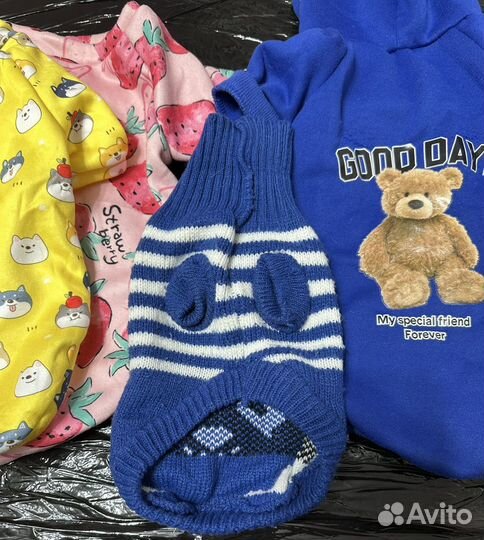 Вещи для собак или кошек