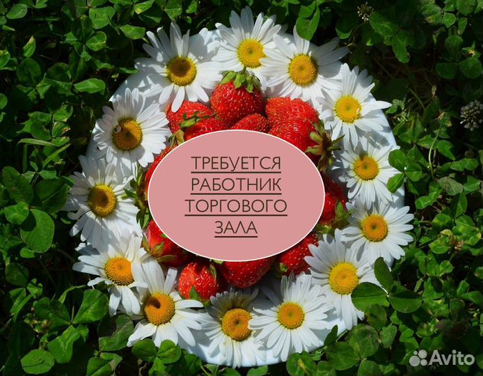 Работник торгового зала подработка любой день/ночь