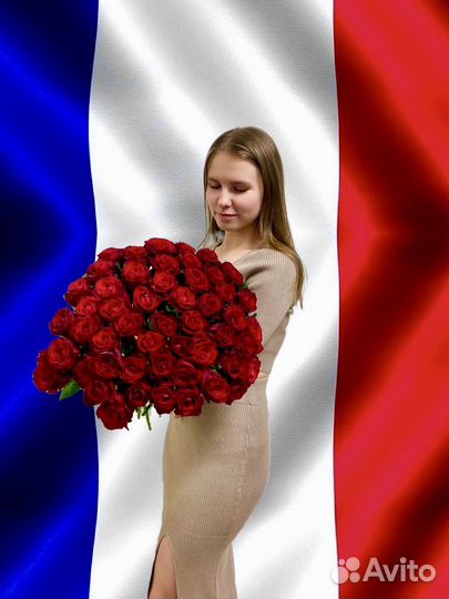 Репетитор по французскому онлайн