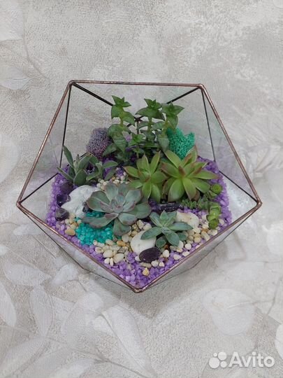 Флорариумы