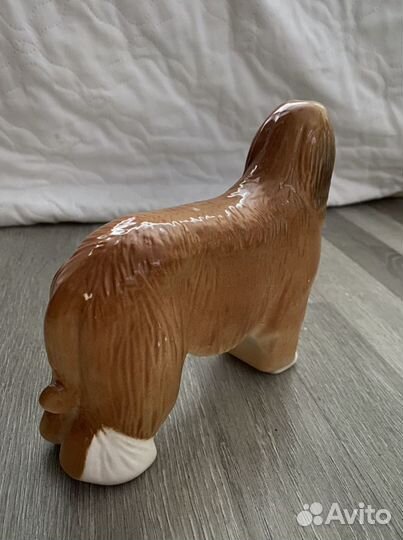 Афганская борзая лфз