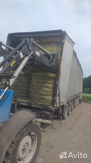 Сено в рулонах оптом