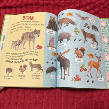 Развивающие книги