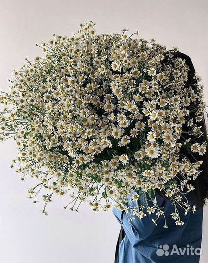 Букеты. Доставка ромашек
