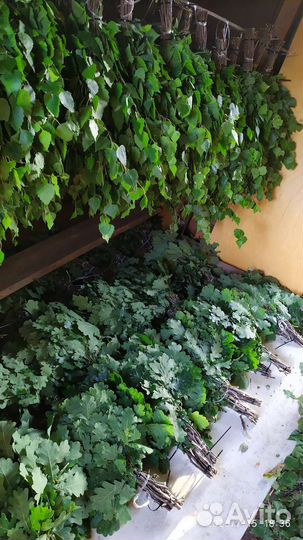 Веники березовые и дубовые для бани