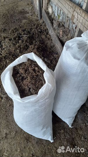 Конский навоз