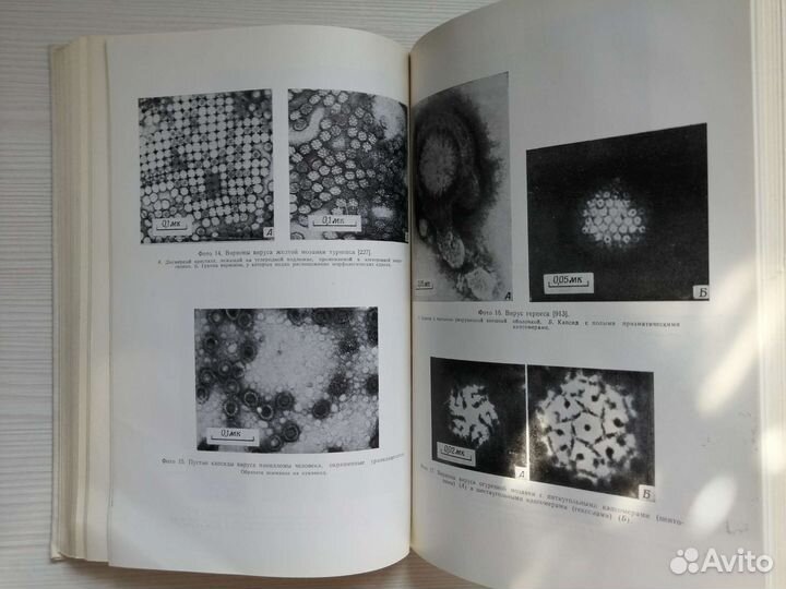 Общая вирусология (1970г.) / С. Лурия, Дж. Дарнелл