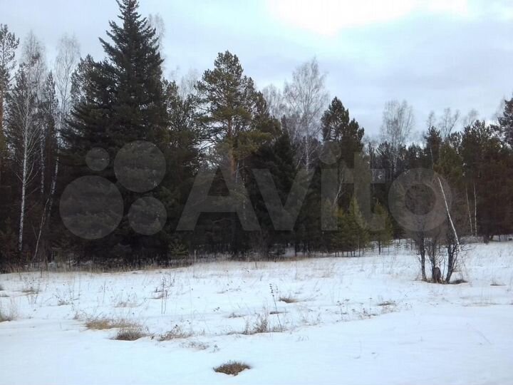 Участок 1,2 га (СНТ, ДНП)