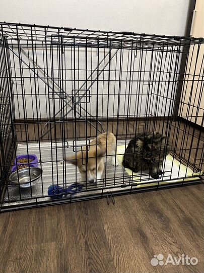 Вольер для собак