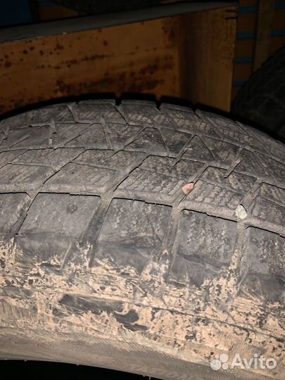 Bridgestone Blizzak DM-V1 255/65 R17