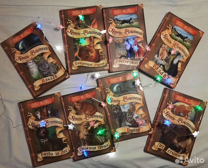 Книги коты воители, Начало, Бушующая Стихия, Выбор