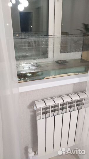 Черепаха с аквариумом