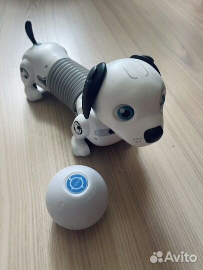 Собака робот silverlit ycoo дэкил джуниор