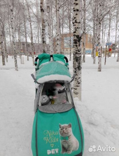 Санки коляска ника