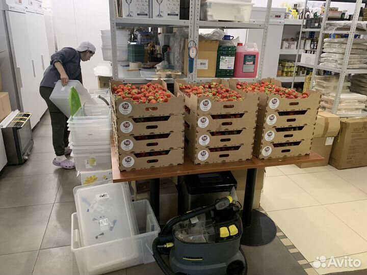 Рассада клубники фриго. Италия