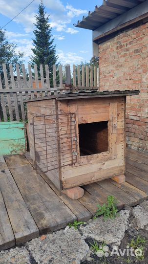 Будка для собаки