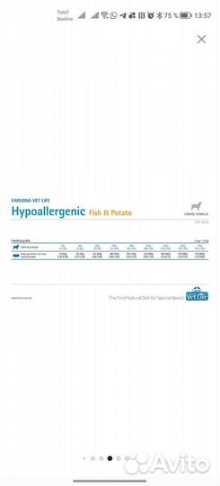 Корм для собак