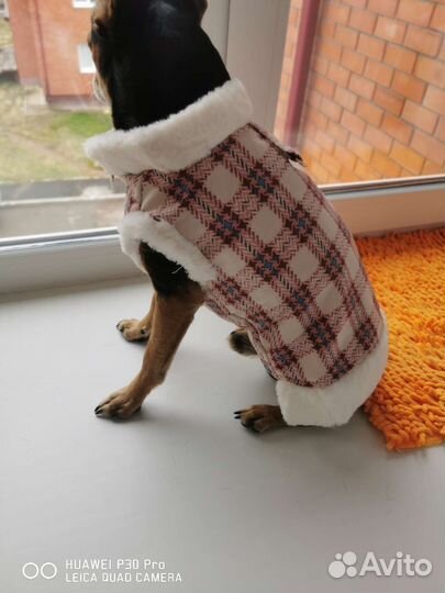 Одежда для собак. Жилетка