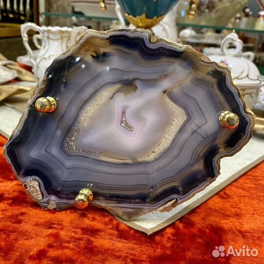 Медовница Златоуст