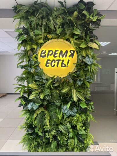 Фитостена из искусственных растений Озеленение