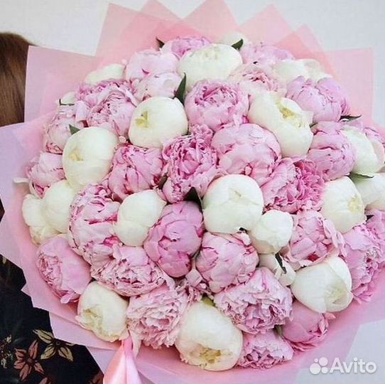 Пионы Букет пионов