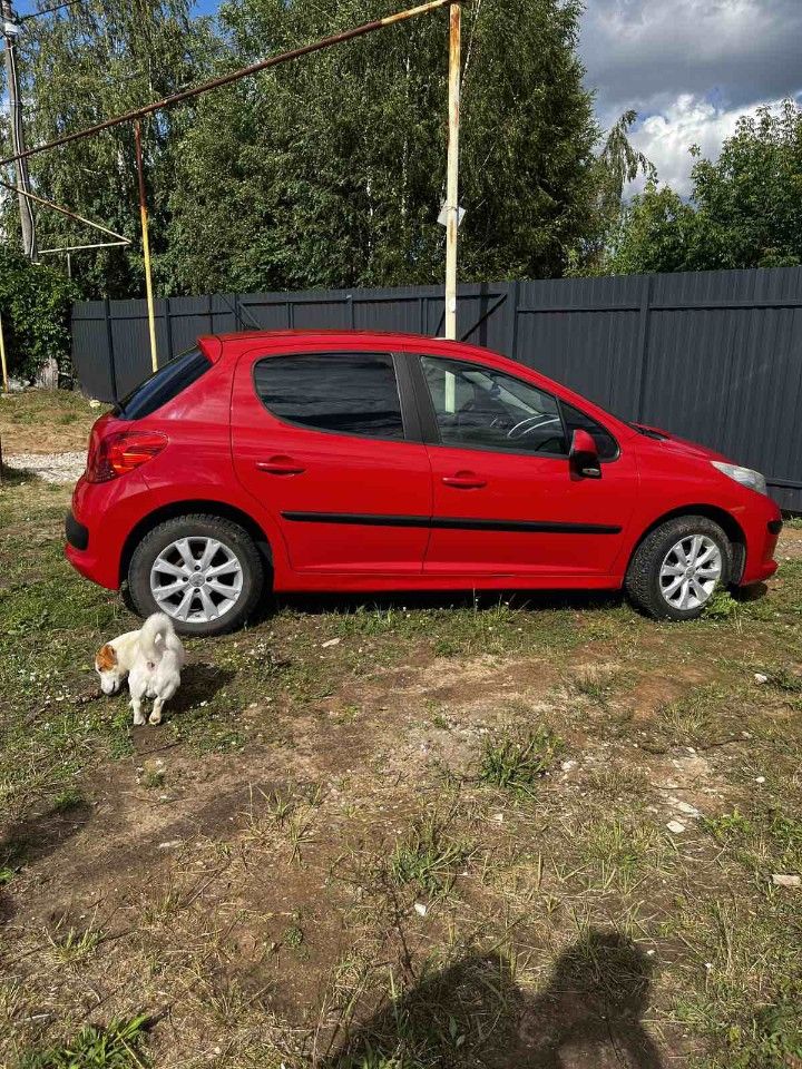 Peugeot 207: фото владельца