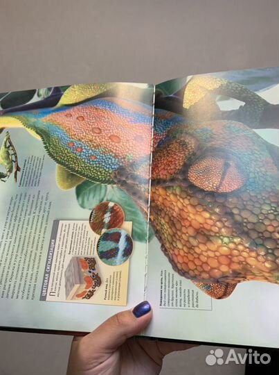 Новейшая детская энциклопедия Обо всем на свете