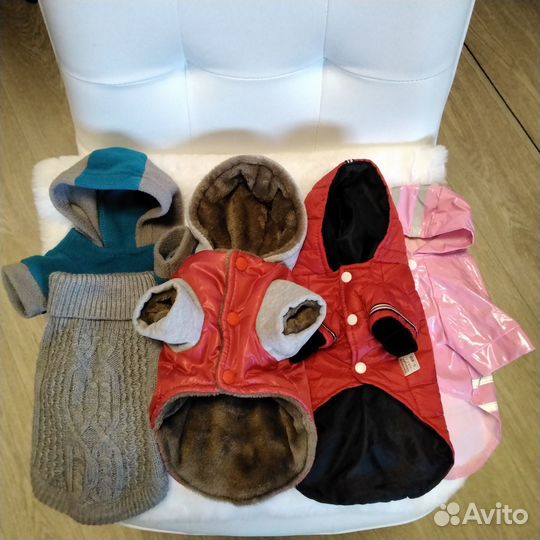 Одежда для маленькой собачки,размер S