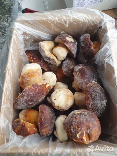 Грибы белые (Цельные и кубики)