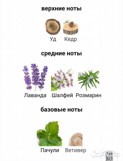 Мужской парфюм Оригинал