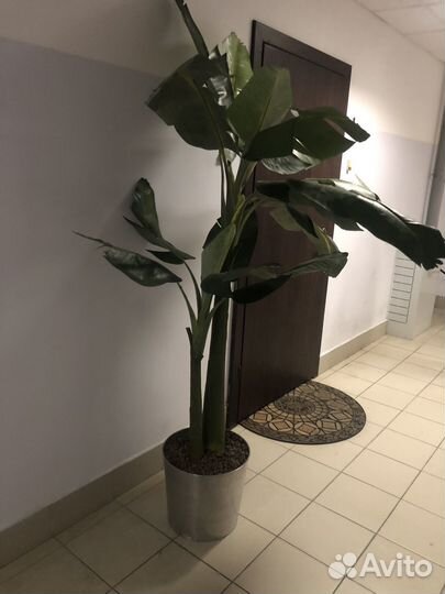 Искусственное дерево бу