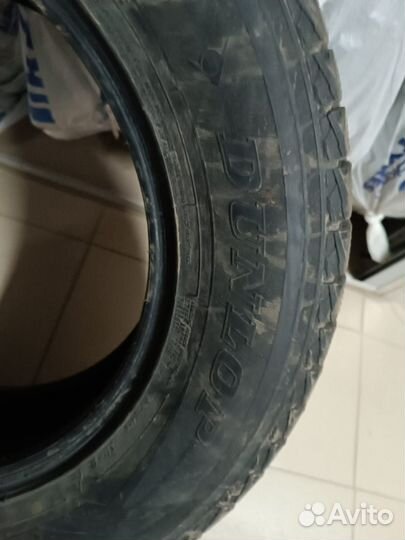 Dunlop SP LT Winter 2.25/60 R18 R