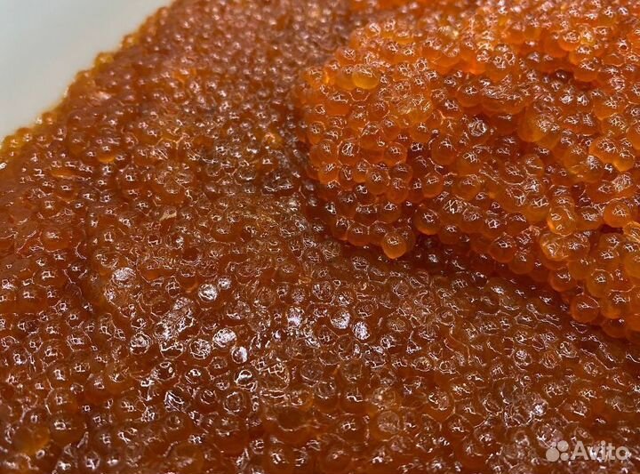 Красная икра. Опт