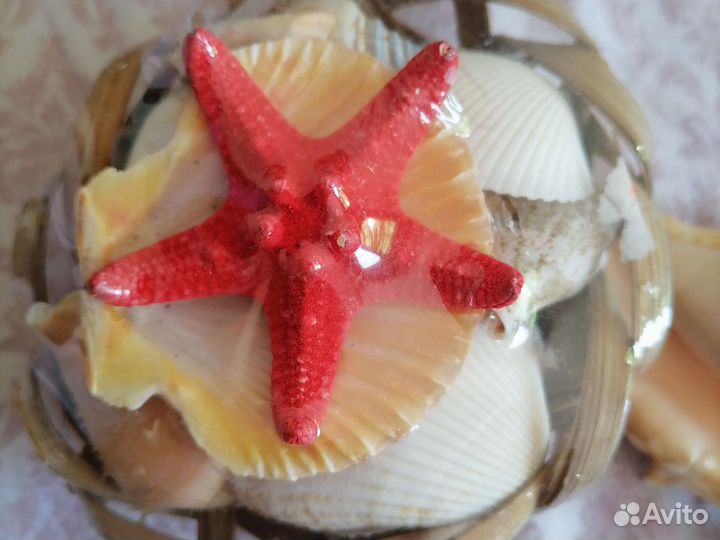 Ракушки с моря