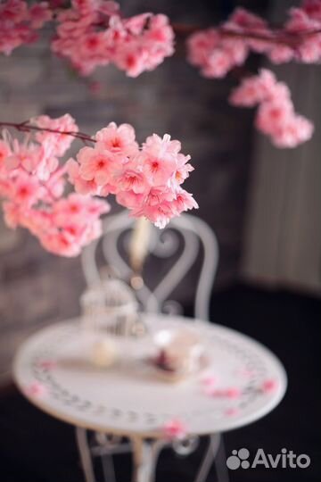 Аренда фотостудии для фотосессий и под мероприятмя