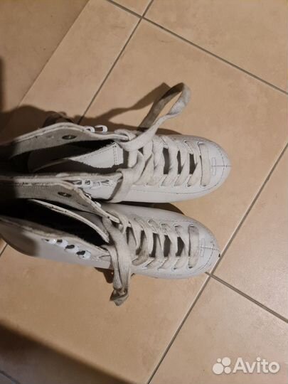 Коньки фигурные 33 ck ladies