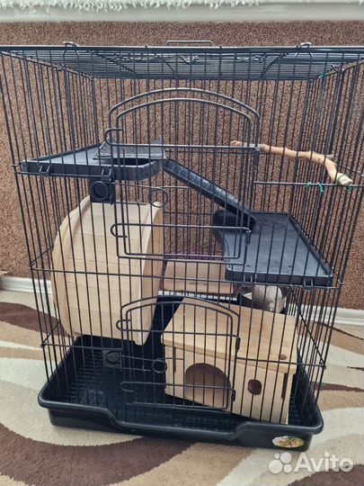 Клетка для шиншиллы