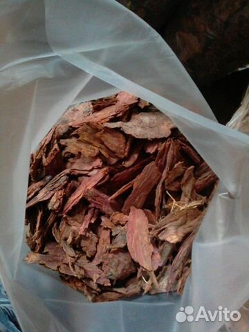 Кора лиственницы