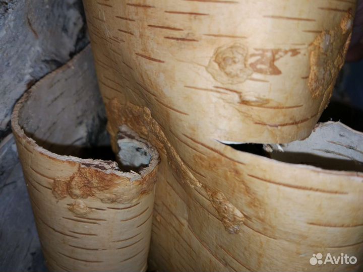 Береста для поделок