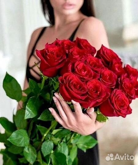 101 роза цветы букеты доставка 25 51 101 роза
