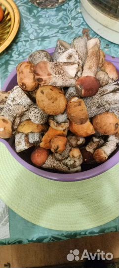 Грибы свежие