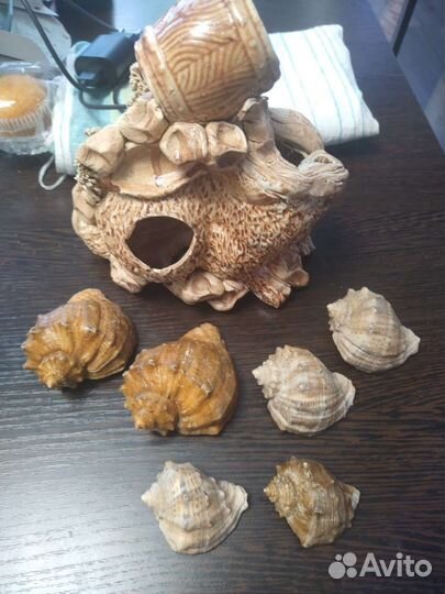 Весь набор 600