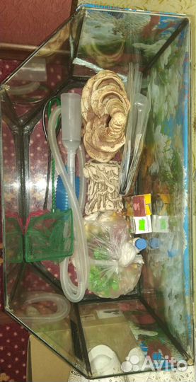 Аквариум с наполнением 40 л